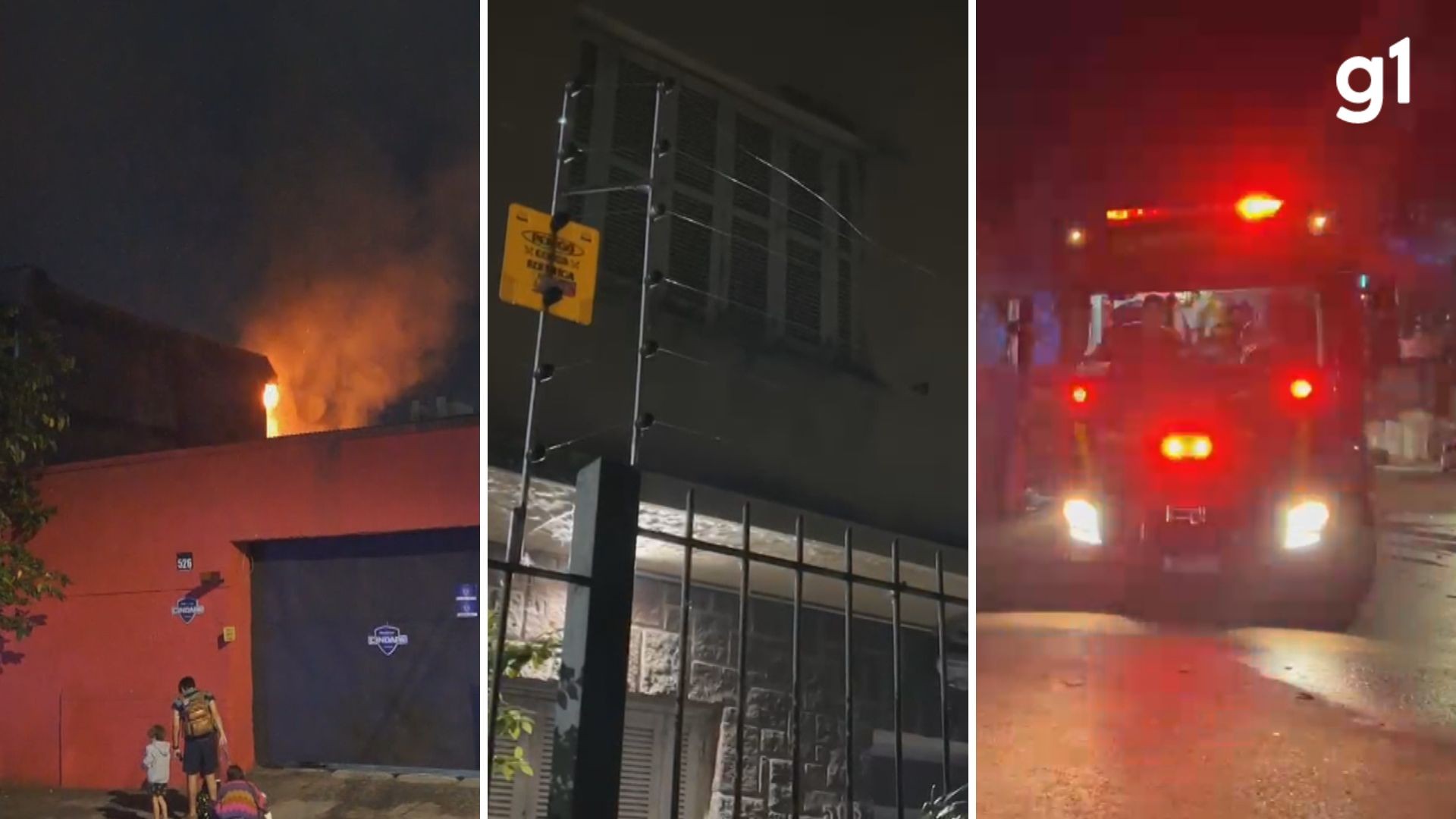 Quatro gatos e dois cachorros morrem após incêndio em apartamento em Porto Alegre; tutora está hospitalizada