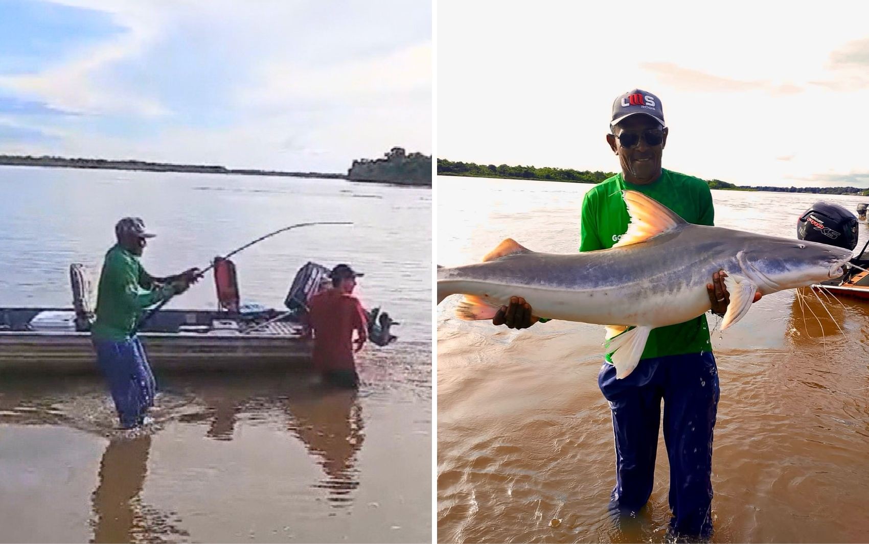 Guia pesca peixe gigante que não pode ser consumido em Goiás; vídeo