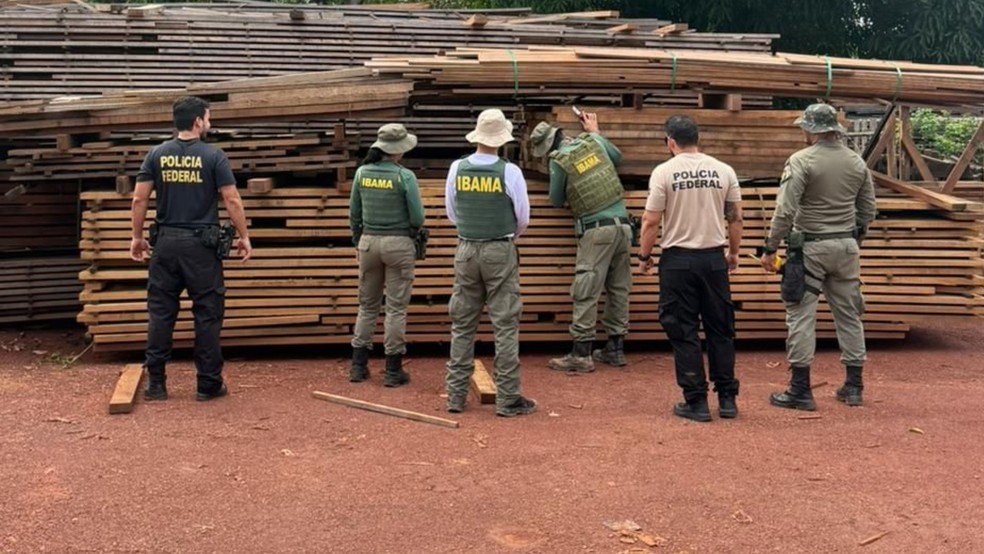 PF deflagra operação contra desmatamento na Terra Indígena em RO — Foto: Reprodução/Polícia Federal (PF)