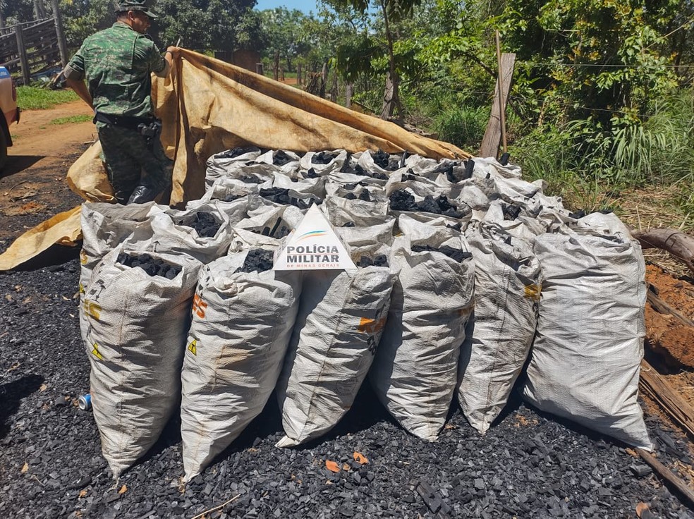 Carvoaria ilegal em Paracatu — Foto: Polícia Militar/Divulgação
