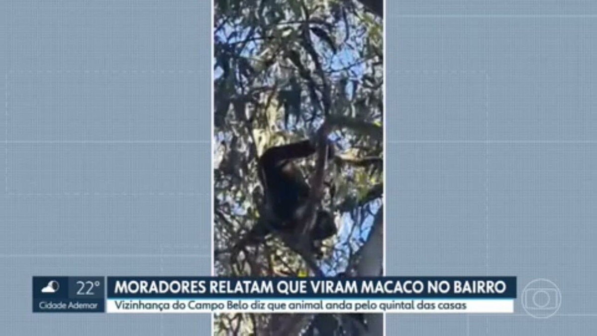 Macaco Branco: comunidade tomada pelo mato - Grupo A Hora