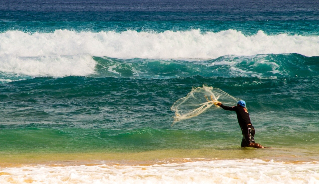 ICMBio discute regras para renovar autorização de pesca de sardinha em área de proteção ambiental em Fernando de Noronha