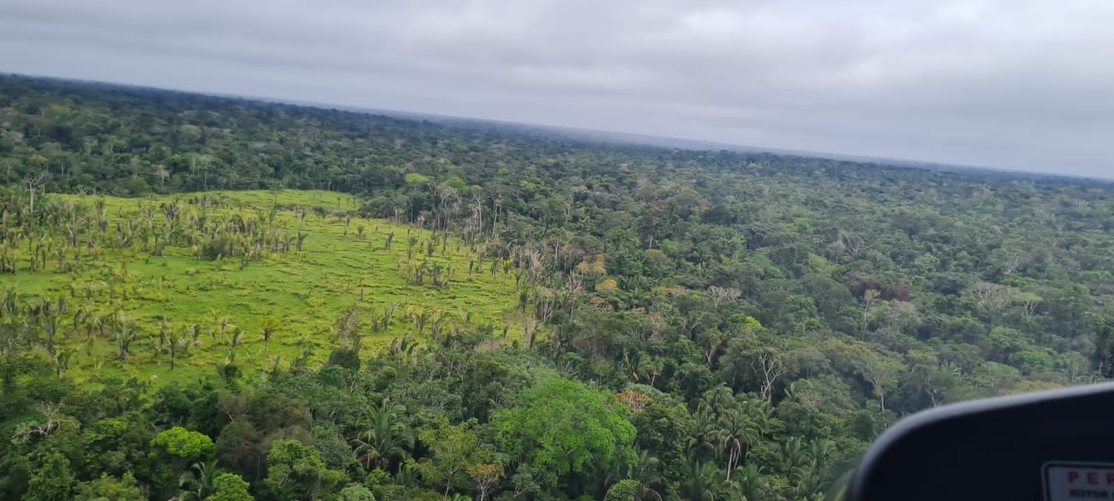 Decretos para criação de quatro Reservas de Desenvolvimento Sustentável no AM são assinados