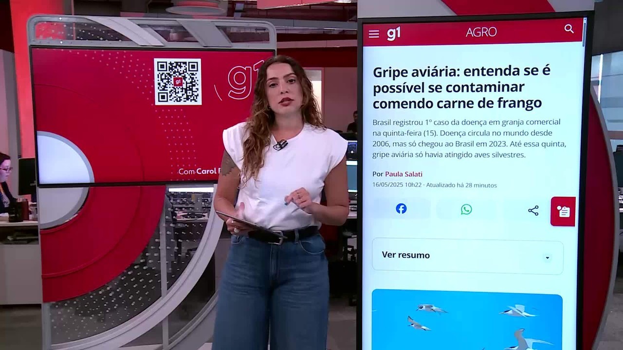 Boi, frango e porco: USP analisa movimentos de preços das carnes concorrentes e reflexos da estiagem em agosto