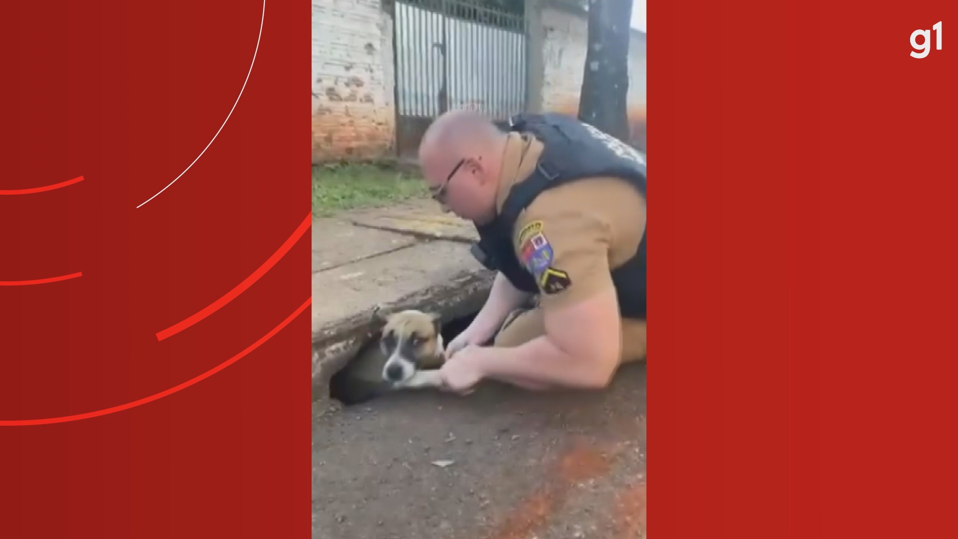 VÍDEO: Cachorro fica preso em bueiro e é resgatado por policial que estava em patrulhamento em Foz do Iguaçu