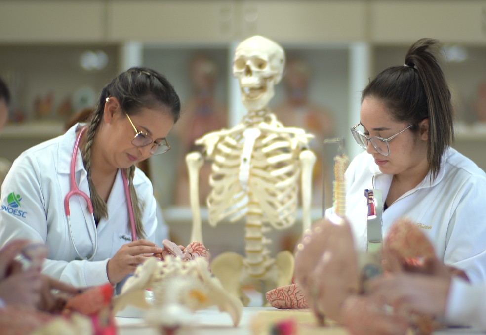 A Universidade conta com mais de 500 laboratórios e mais de 490 salas de aula. — Foto: Divulgação