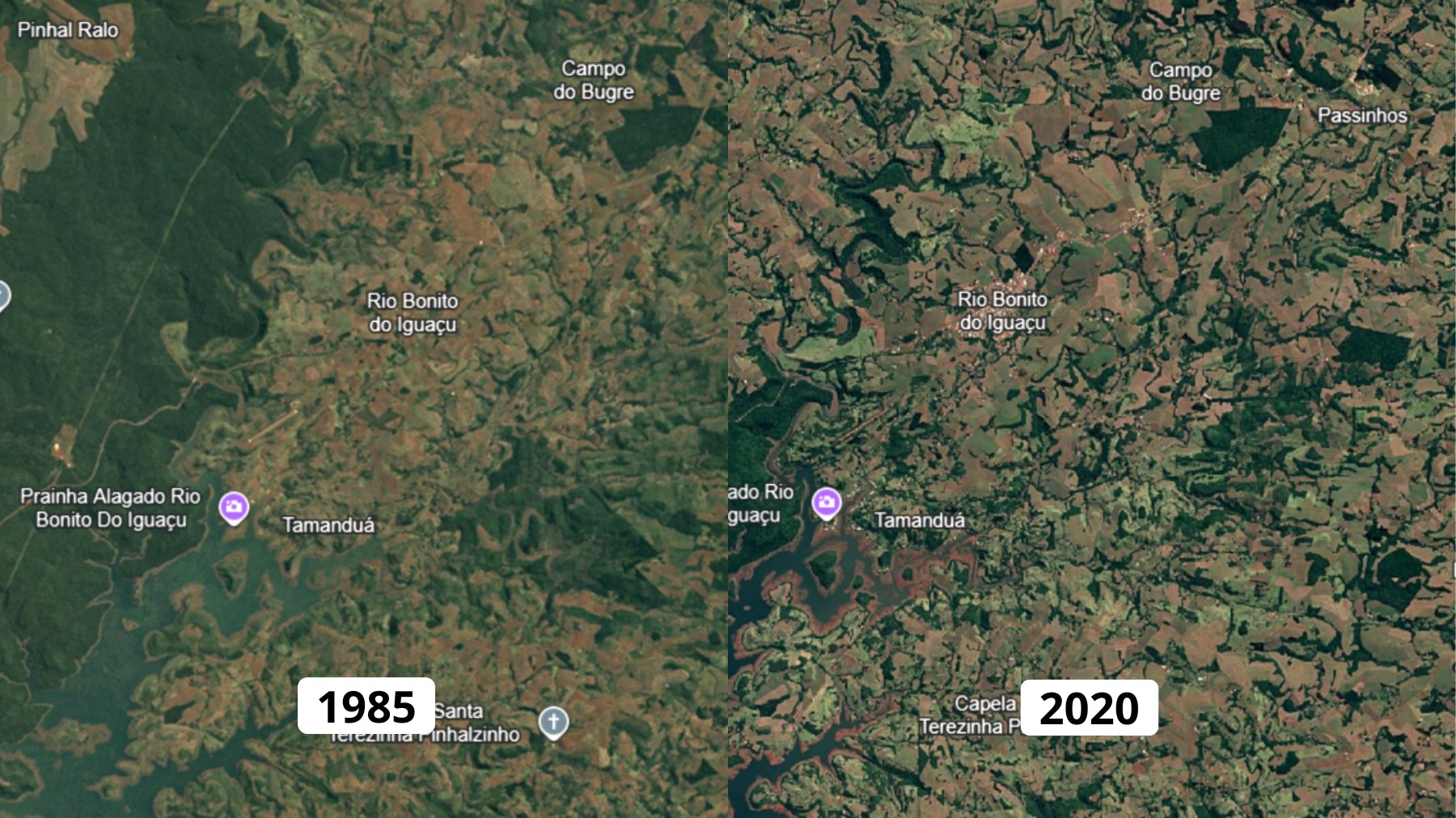 Cidade paranaense destruída por tornado liderou desmatamento da Mata Atlântica no Brasil por três décadas, indica levantamento