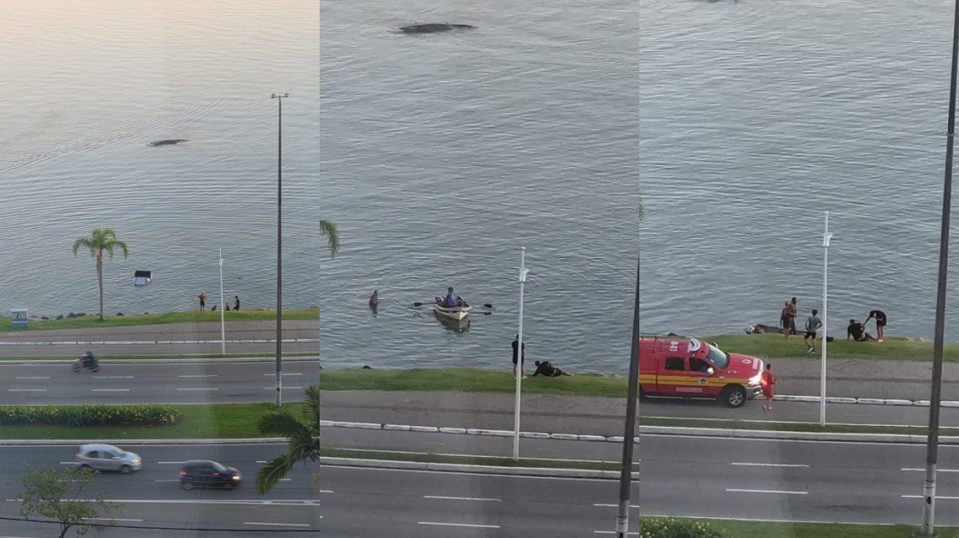 Carro cai no mar da Avenida Beira-Mar, em Florianópolis