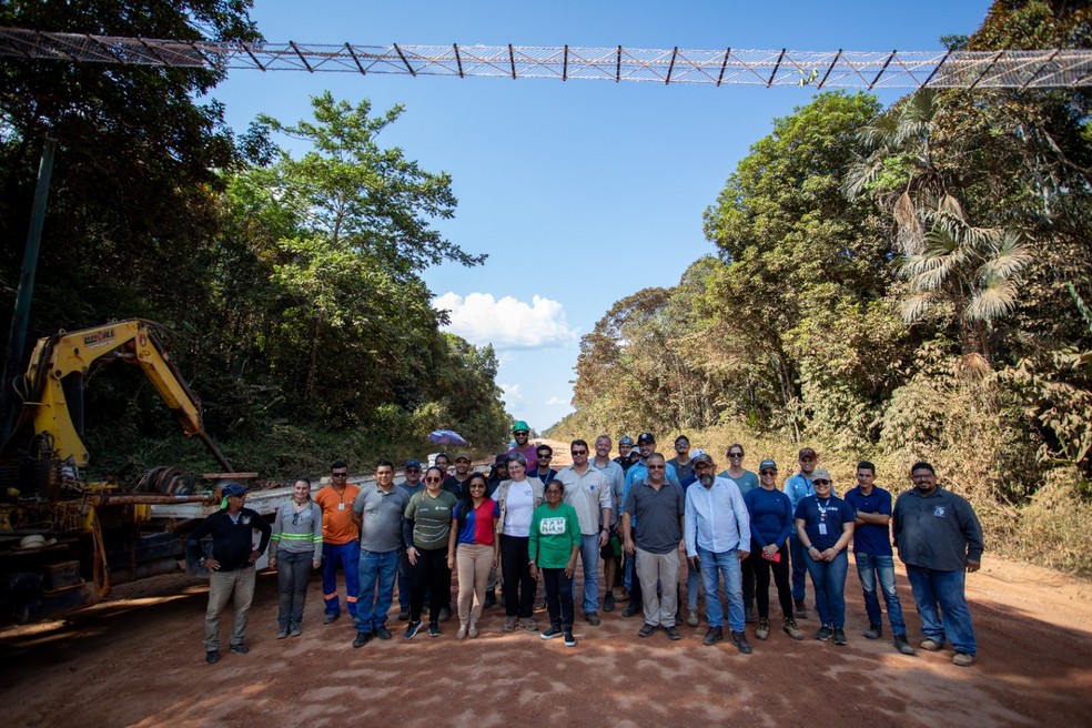 Passagem superior de fauna na BR-319 em trecho do Amazonas — Foto: Michael Dantas/WCS