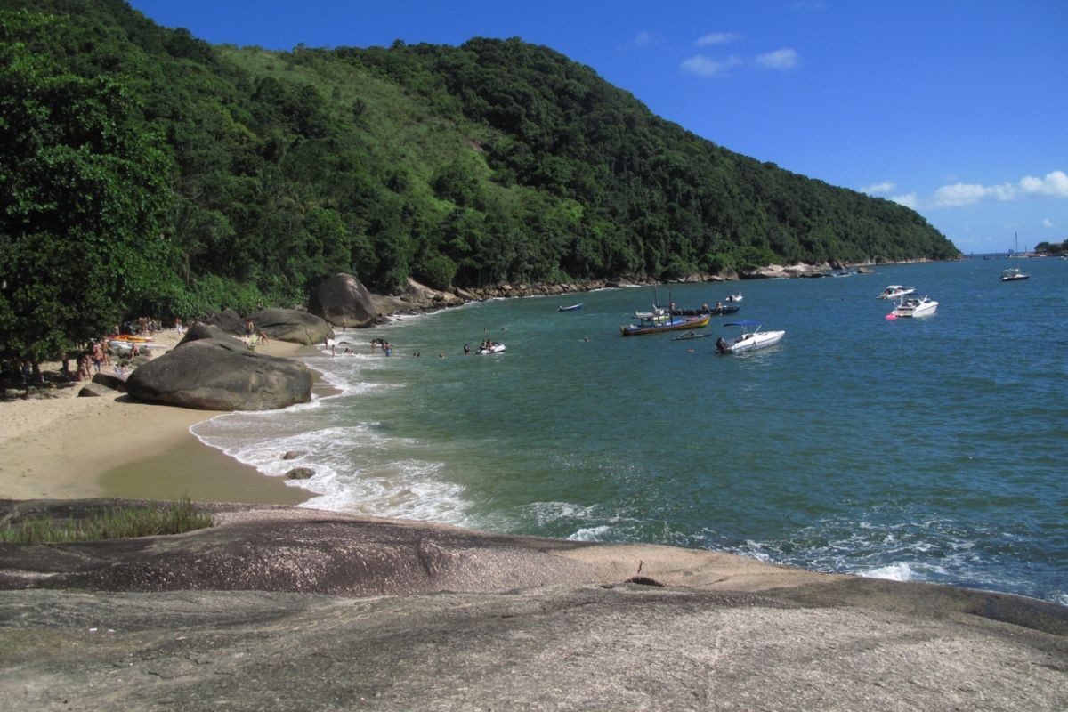 Praia minúscula no litoral de SP esconde caverna com corais e peixes que vivem na escuridão; conheça