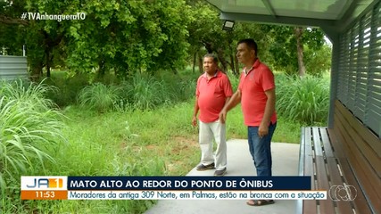 Moradores da região Norte reclamam de mato alto ao redor do ponto de ônibus