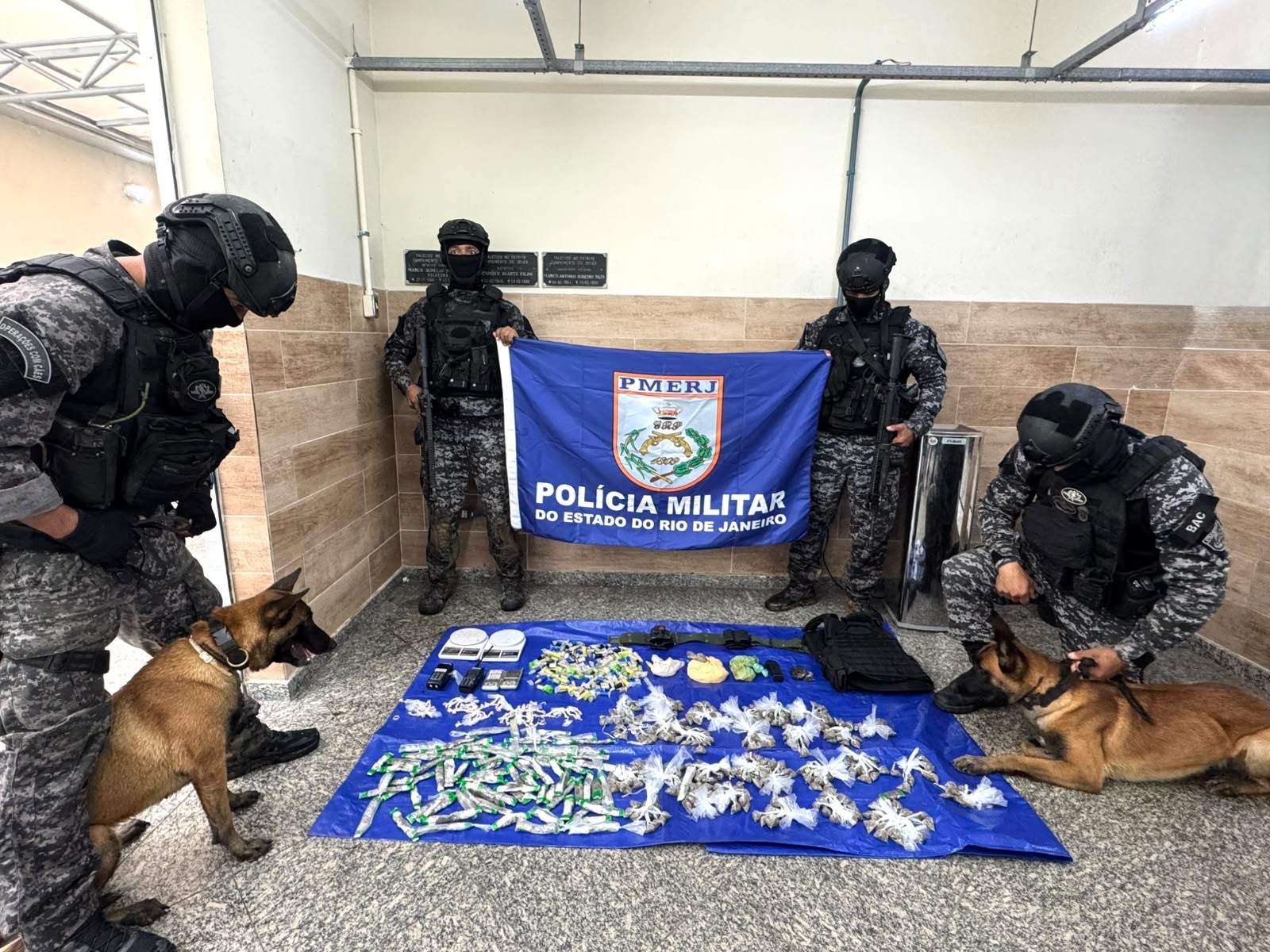 Cães farejadores ajudam a encontrar drogas em área de mata em Volta Redonda