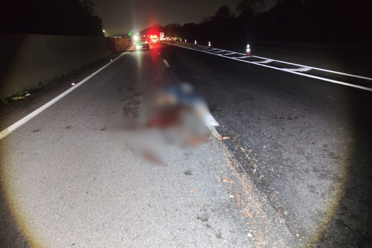 Pedestre morre após tentar atravessar rodovia e ser atropelado por carreta na Anchieta, SP