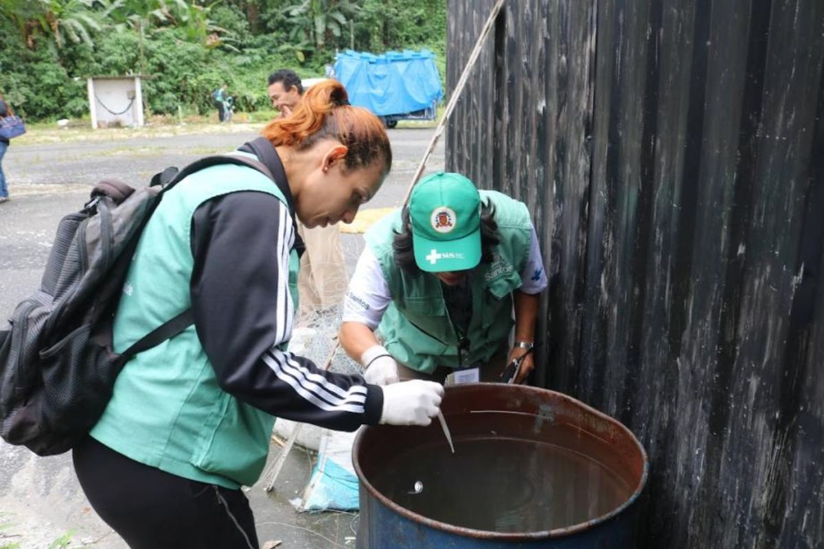 Santos testa larvicida que impede larvas de virar mosquito da dengue; efeito dura até seis meses