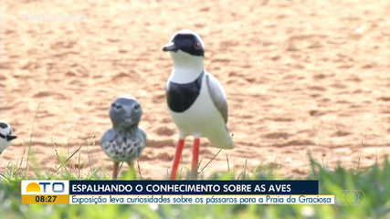 Defensorias Públicas no sul do estado vão ter alterações no atendimento para fiscalização