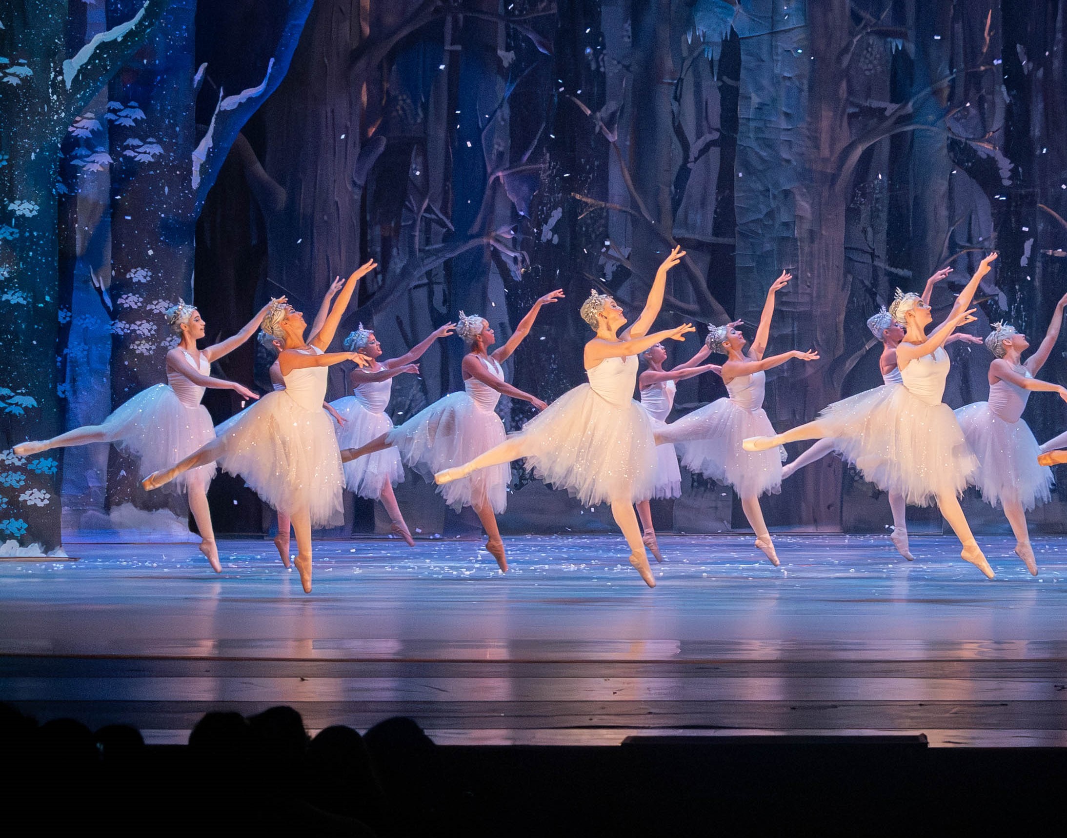 Fundação Theatro Municipal leva cursos gratuitos de música e dança às periferias