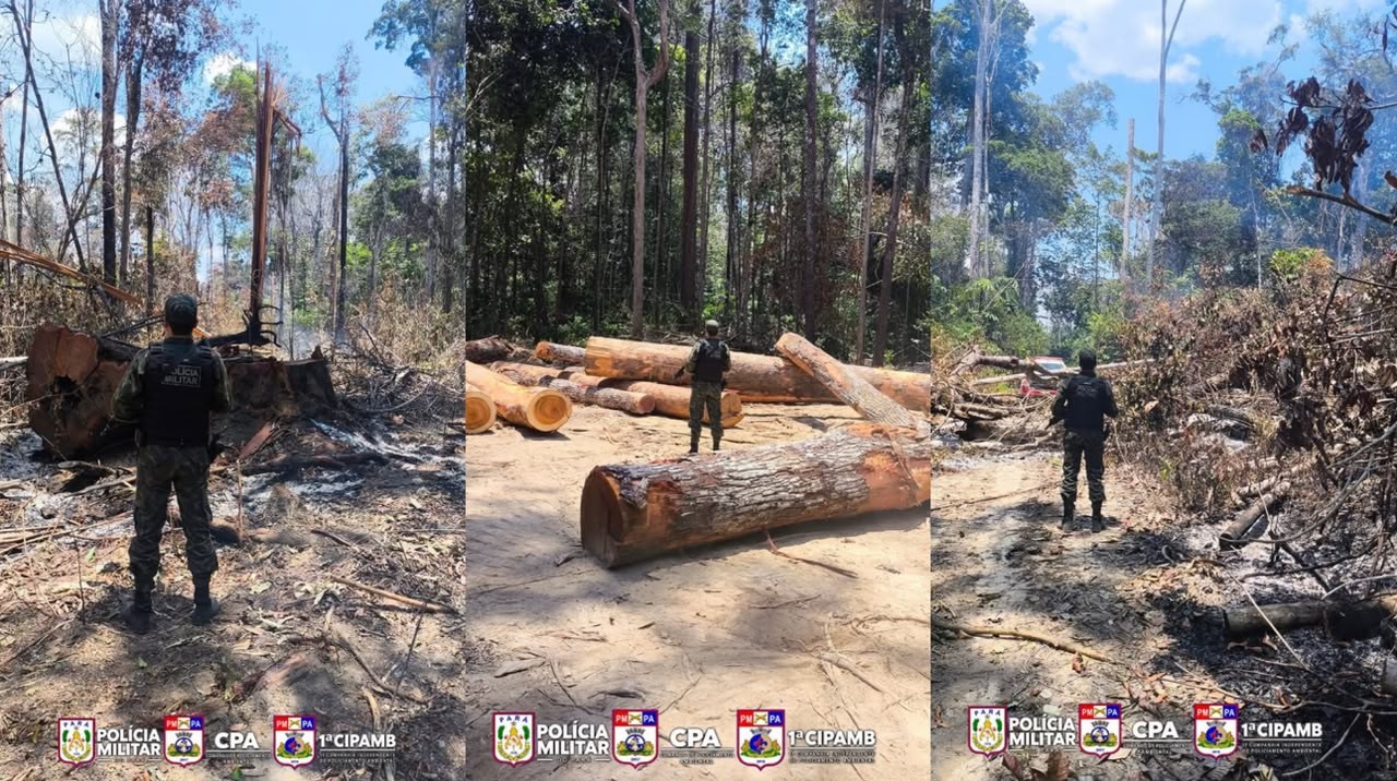 Polícia Ambiental identifica área desmatada e atingida por fogo na região do Chapadão, no PA