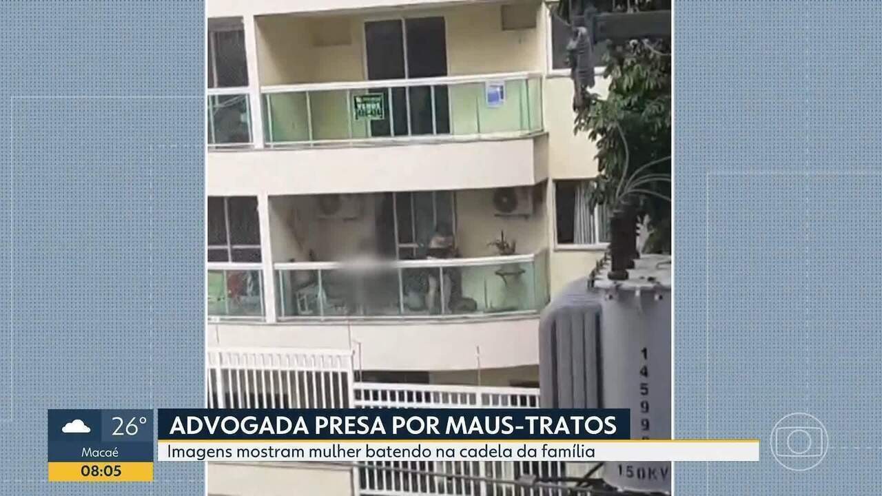 Advogada e Professora Universitária é Presa por Maus-Tratos a Cadela; Vídeo | Rio de Janeiro