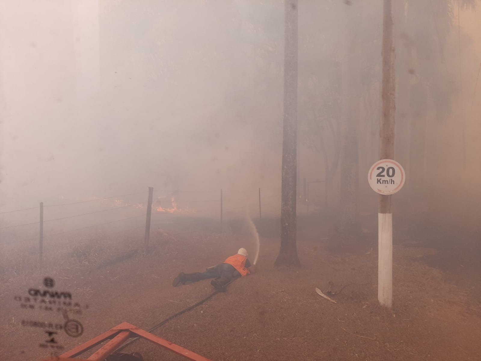 Focos de incêndio no centro-oeste paulista atingem residências, áreas de mata e afetam abastecimento de água