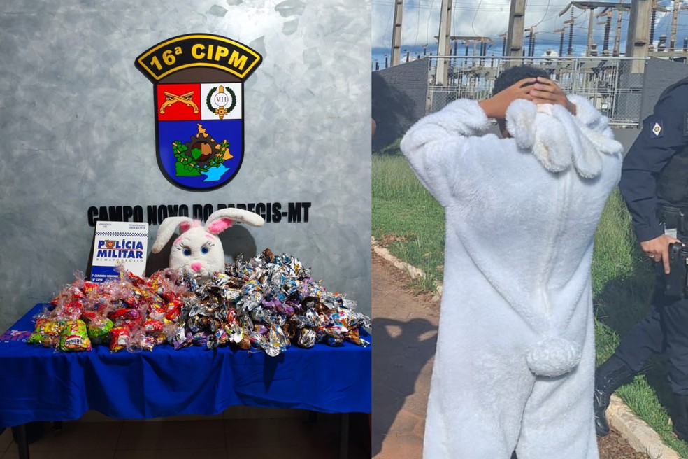 Suspeito foi preso fantasiado de coelho e doces foram preendidos pela polícia — Foto: PMMT