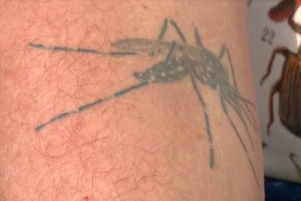 Fábio tatuou o Aedes aegypti na pele para homenagear mosquito que estuda e trabalha há quase 30 anos — Foto: Reprodução/TV Tribuna