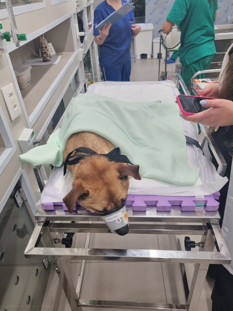 Marcelinho após ser encontrado em São Paulo — Foto: Arquivo Pessoal