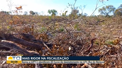 Ibama e MP identificam 30 focos de desmatamento na APA na Ilha do Bananal