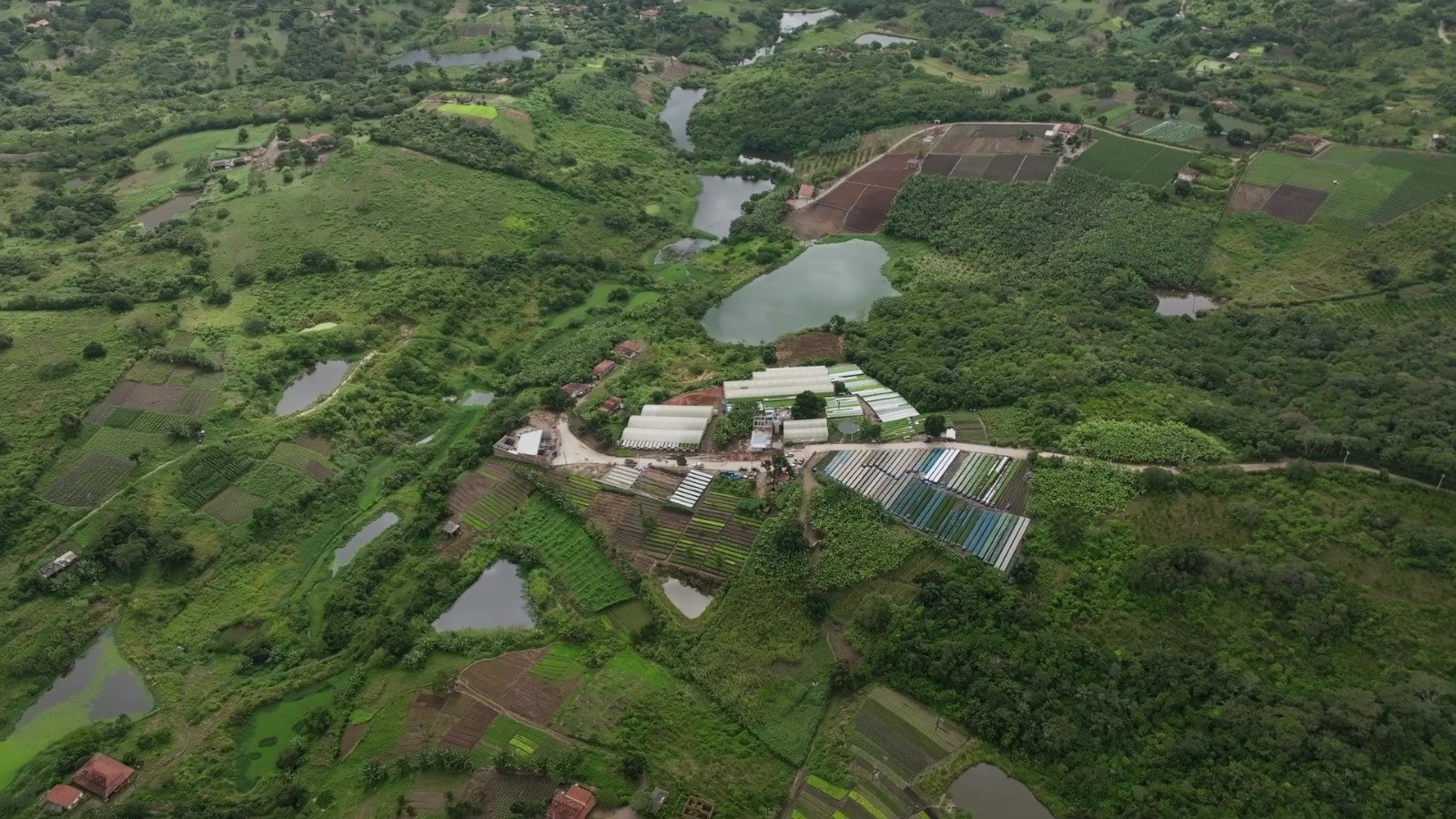 Justiça determina prisão de dois acusados de golpe milionário com cultivo de hortaliças