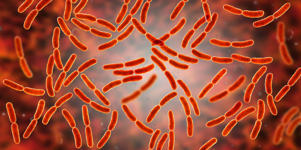 Estudo indica que o microbioma do endométrio influencia a fertilidade feminina e a receptividade uterina