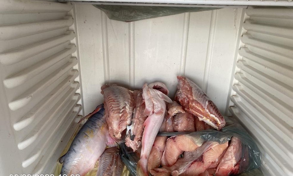 79kg de pescado foram apreendidos pela PM — Foto: Reprodução