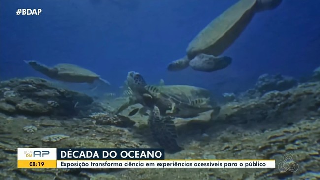 Exposição transforma ciência em experiências acessíveis para o público