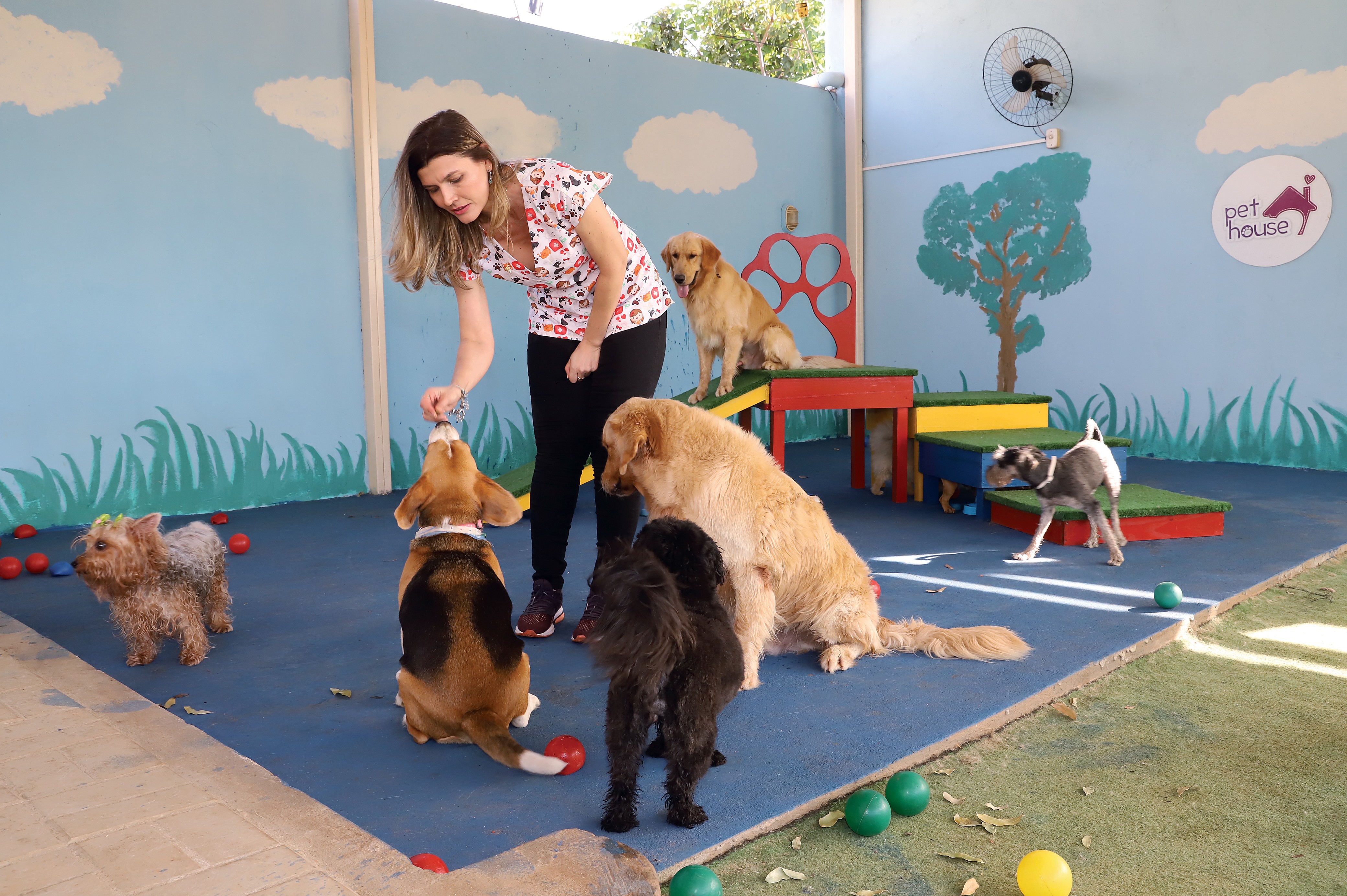 Empreendedoras investem em serviços de creche e até babá para pets; setor deve crescer quase 60% no Tocantins