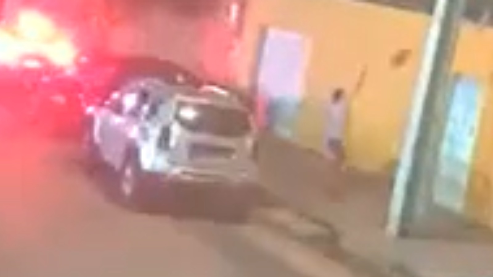 Mulher é investigada por arremessar filhote de cachorro por cima de muro em Teresina; vídeo