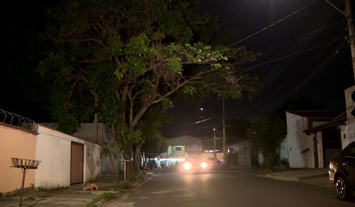 
Com pedidos por corte de árvores na liderança, Campinas tem aumento de 13,6% nas reclamações no 156