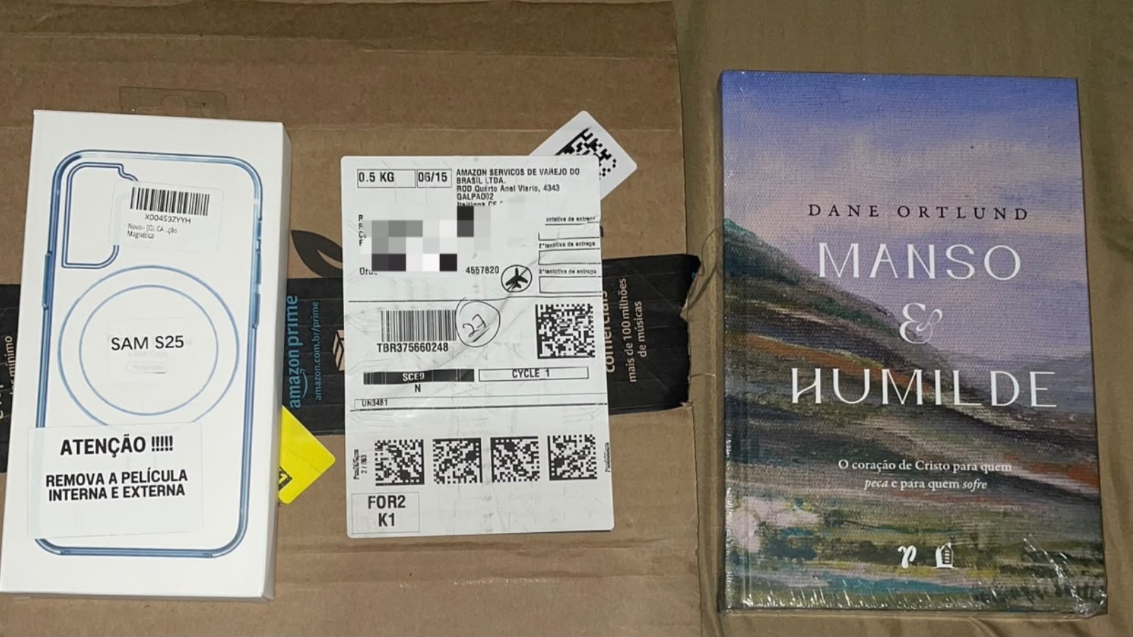 Estudante compra celular de R$ 3,5 mil pela internet e recebe livro e capinha em Fortaleza