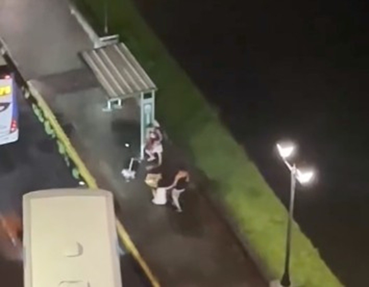 Mulher é derrubada e arrastada no chão durante assalto em parada de ônibus no Recife; VÍDEO