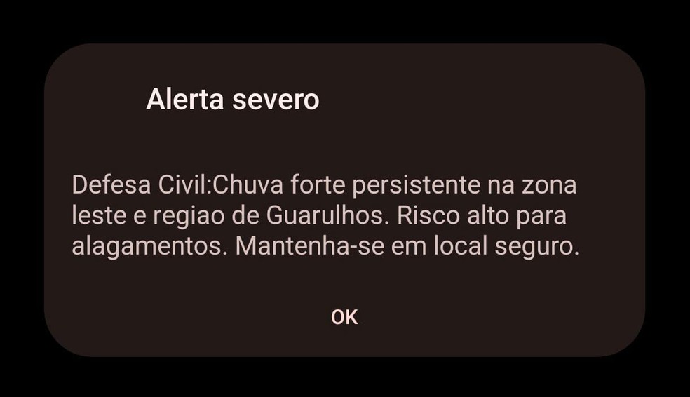 Alerta severo emitido para moradores da região Leste da capital e Guarulhos — Foto: Reprodução