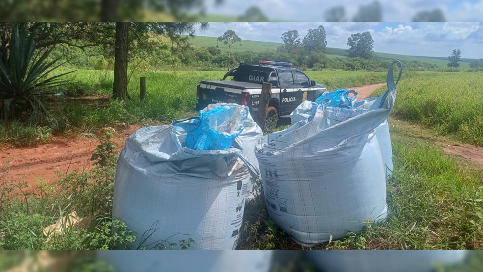 1 de 2
Pol&iacute;cia Civil apreende cerca de quatro toneladas de fertilizantes de origem suspeita em uma ch&aacute;cara na &aacute;rea rural de Arei&oacute;polis (SP) &mdash; Foto: Pol&iacute;cia Civil