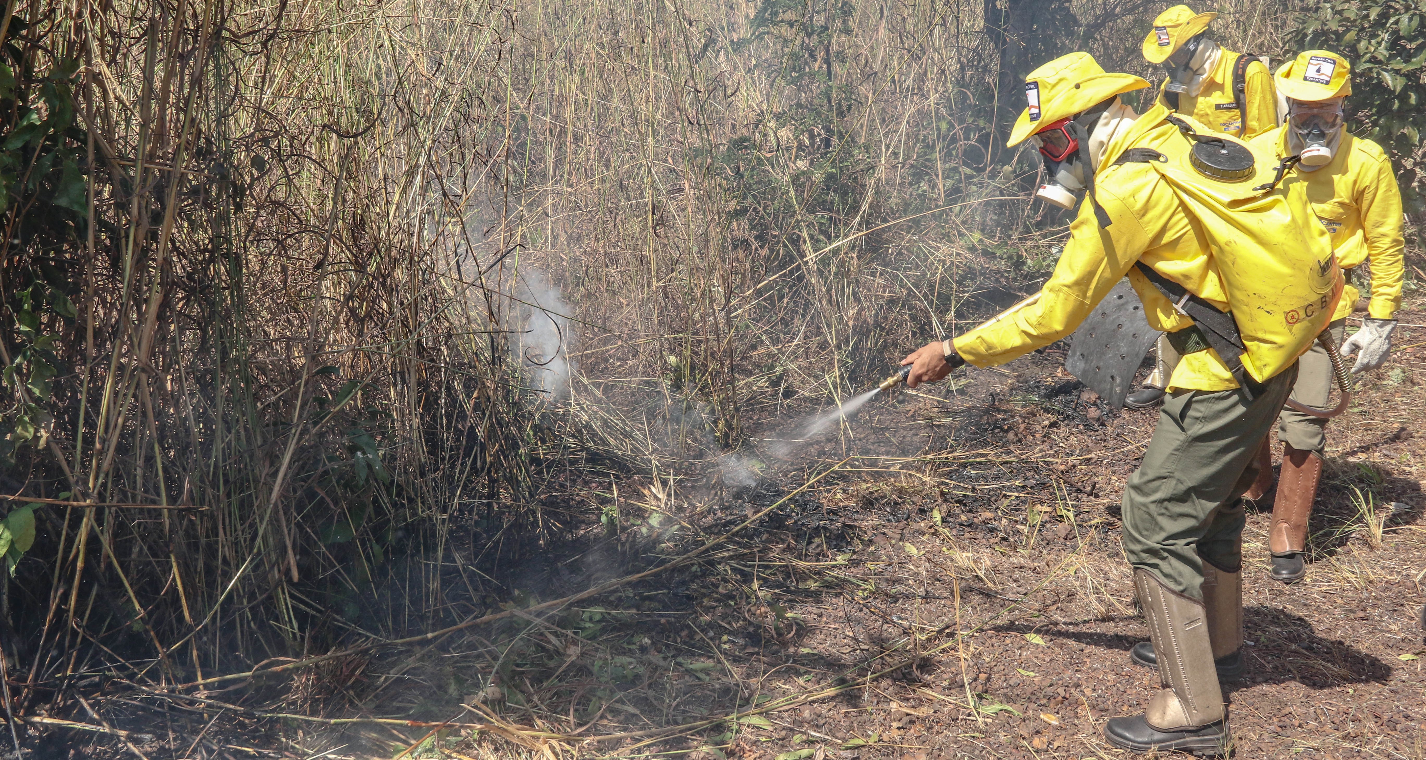 Após número de incêndios dobrar em agosto, governo anuncia repasse de R$ 1 milhão para contratar novos brigadistas