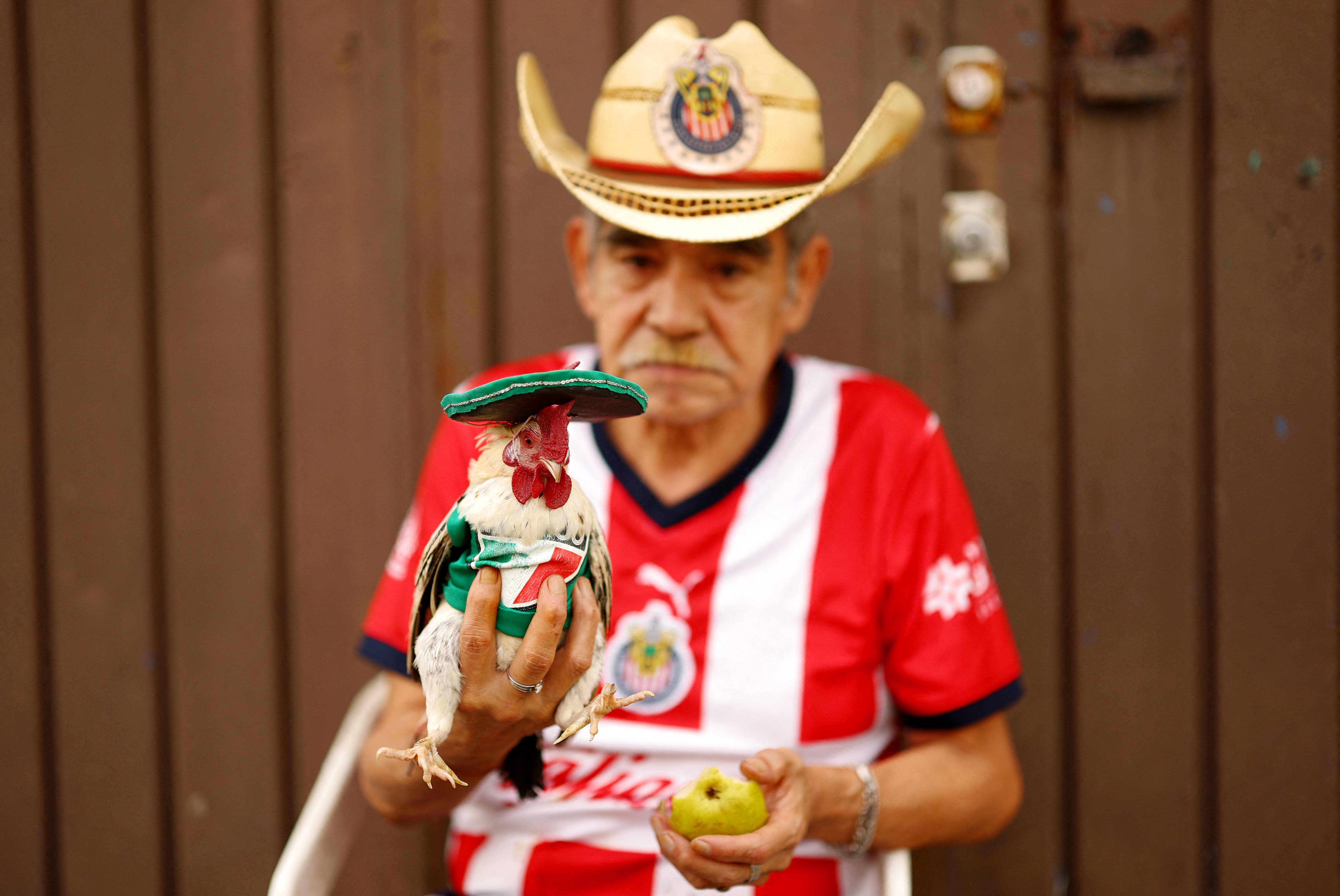 Mascotes da Copa: animais 'torcedores' chamam atenção perto de estádio no México; veja FOTOS