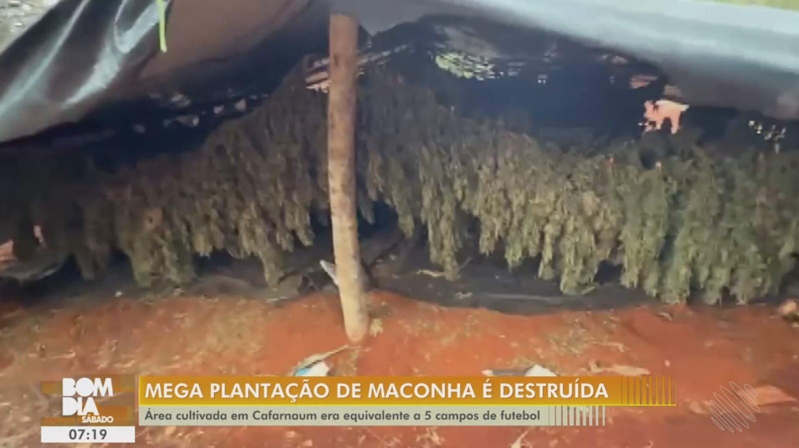 Vídeos da TV Bahia e g1 Bahia –sábado, 6 de dezembro de 2025