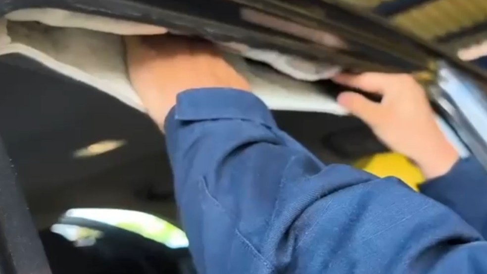 Homem &eacute; preso por transportar emagrecedores e anabolizantes na BR-153 em Jos&eacute; Bonif&aacute;cio (SP) &mdash; Foto: Divulga&ccedil;&atilde;o / PRF