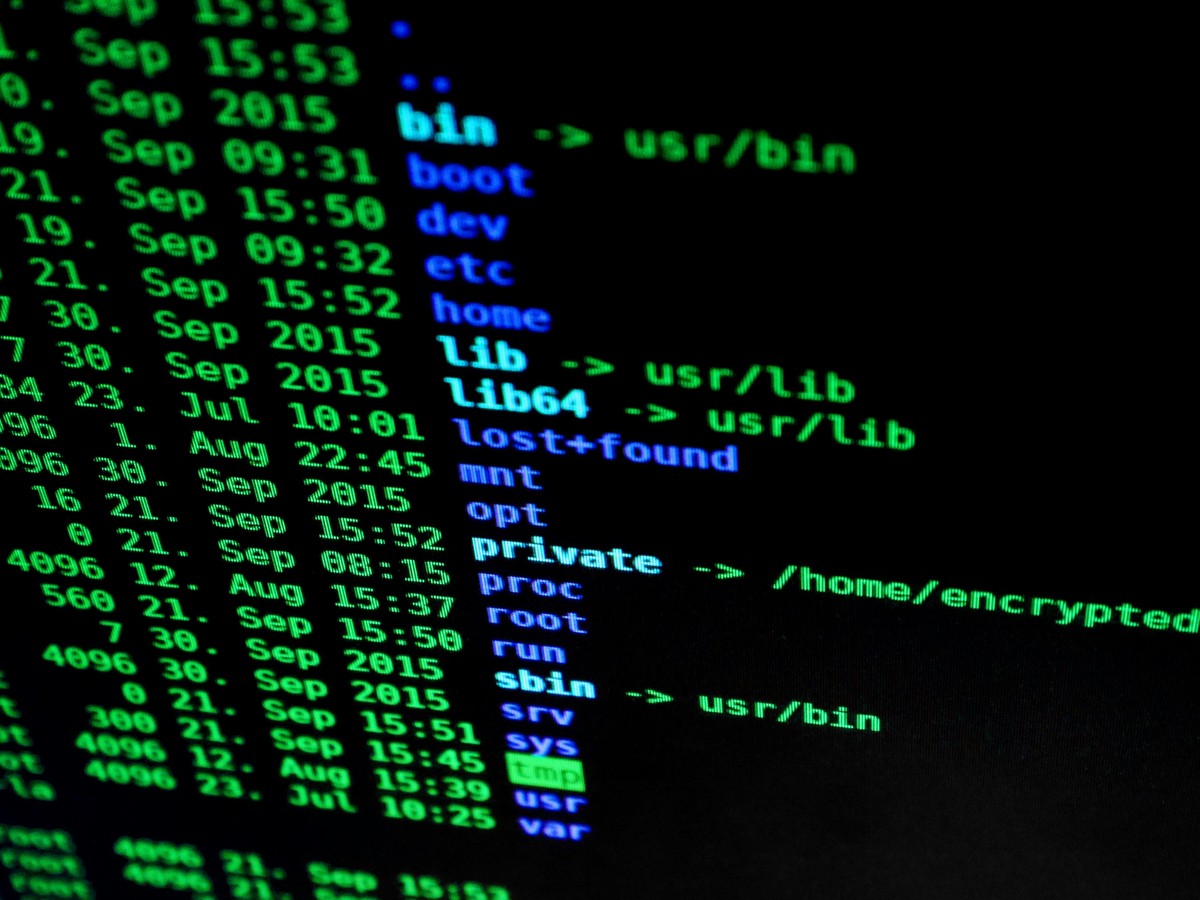 Un hacker ofrece una supuesta lista de casi 10 mil millones de contraseñas a la venta: ¿debería preocuparse?  |  tecnología