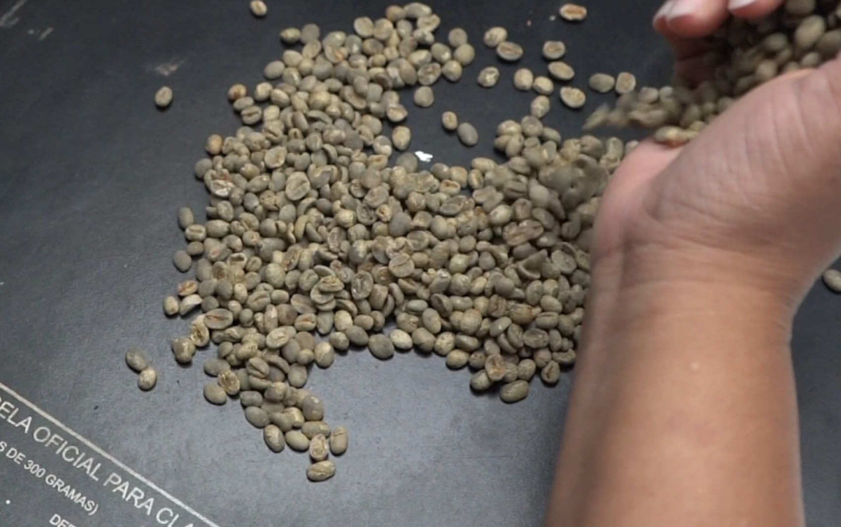 Do cheiro à prova: como é feita a degustação que define a qualidade do café