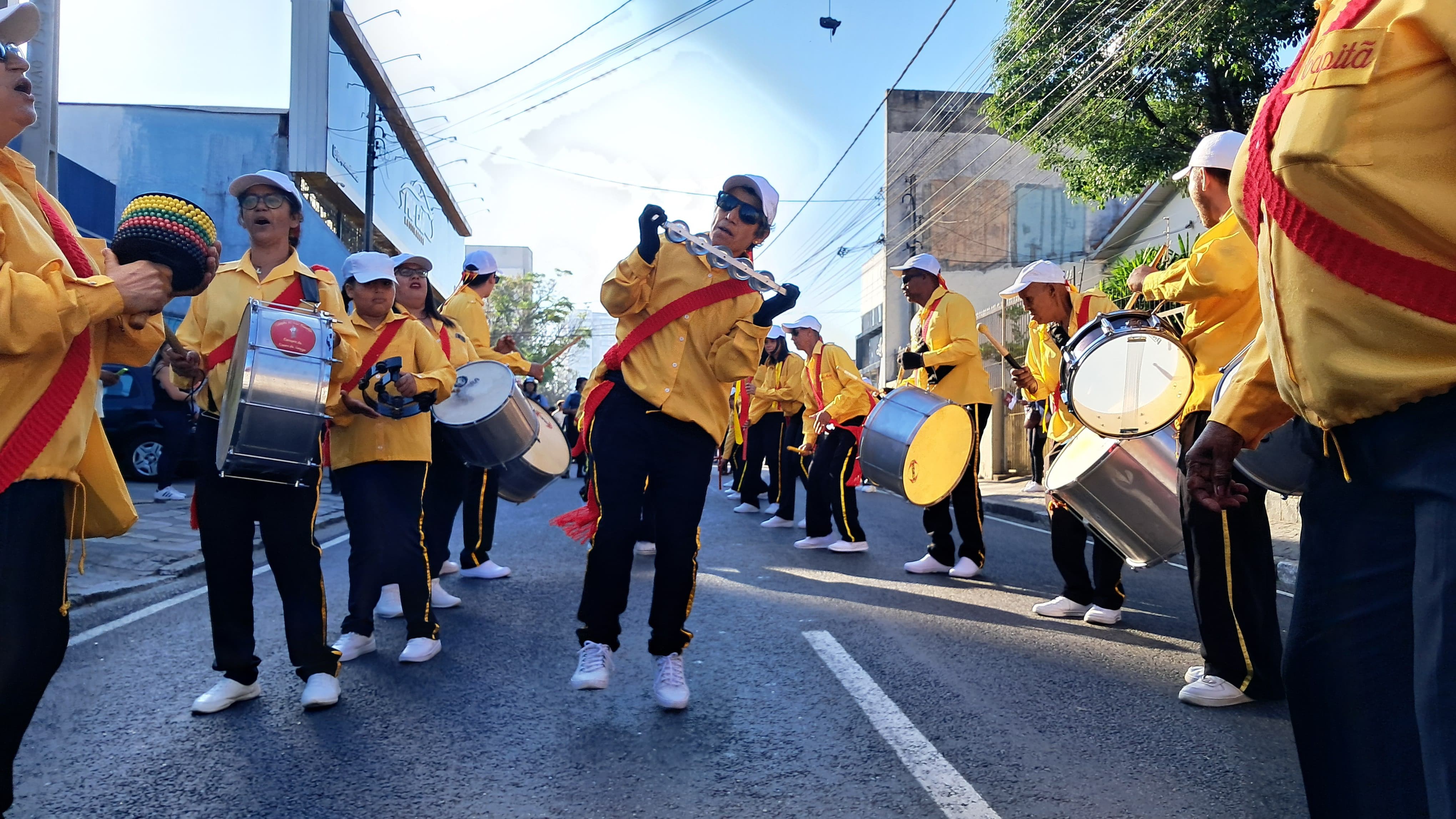 Entrada dos Palmitos da Festa do Divino de Mogi das Cruzes acontece neste sábado; acompanhe em tempo real