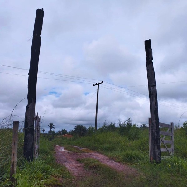Segundo a PF, a área está sendo invadida por criadores de gado — Foto: Divulgação/Polícia Federal