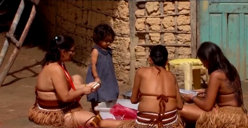 Aldeia indígena no sul da Bahia — Foto: Reprodução/TV Santa Cruz