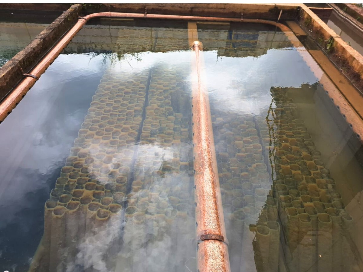 Abastecimento de água é reduzido em cidade no interior de SP após chuvas intensas; entenda