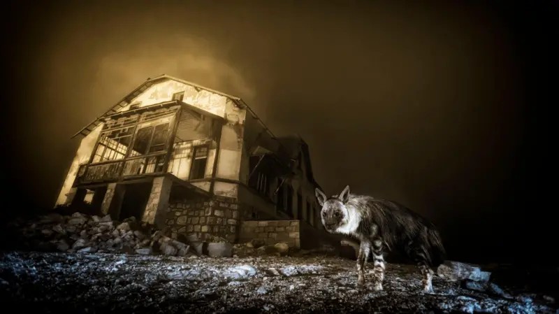 A foto que levou 10 anos para ser feita e foi premiada em concurso internacional