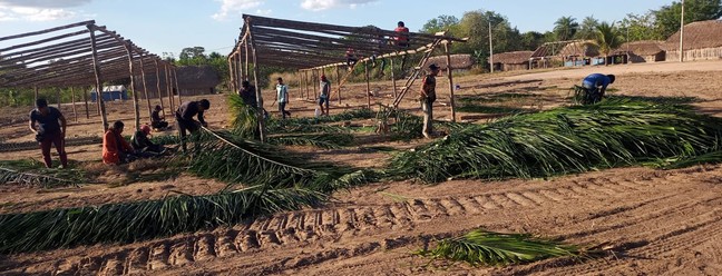 Indígenas trabalham para construção de alojamento para os convidados — Foto: Instituto Raoni